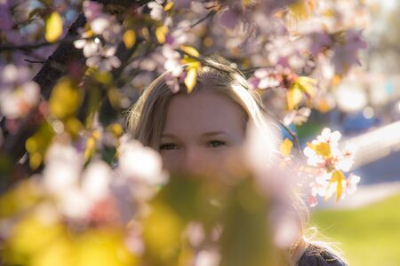 Woman looking through cherry branchesの写真素材