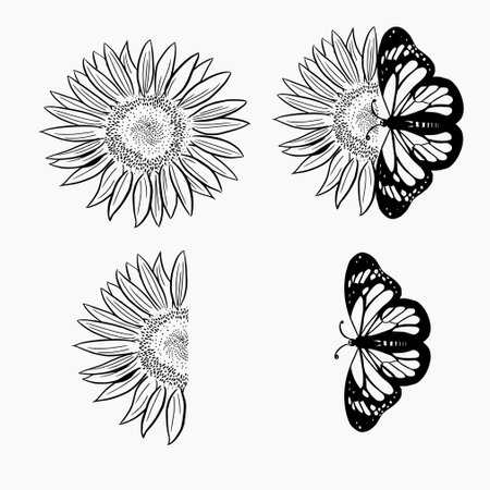 Half Sunflower With Butterfly Line Artのイラスト素材