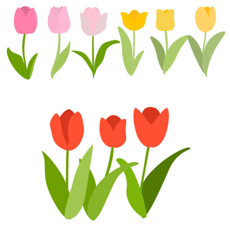 Set of tulips isolated on a white background. Vector illustration.のイラスト素材