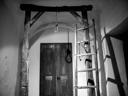VARPALOTA, HUNGARY - APRIL 13, 2019: View on a gallows tree in the Thury castle in Varpalota, Hungary.のeditorial素材