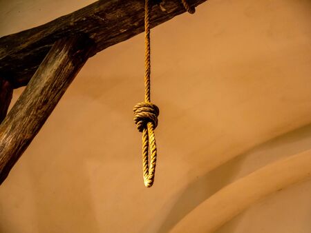 VARPALOTA, HUNGARY - APRIL 13, 2019: View on a gallows tree in the Thury castle in Varpalota,...