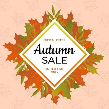 Autumn sale banner. Special offer limited time only. Vecのイラスト素材