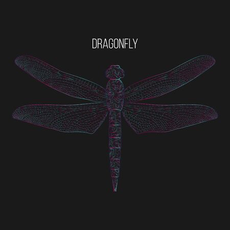 Dragonfly abstract vector illustration.のイラスト素材