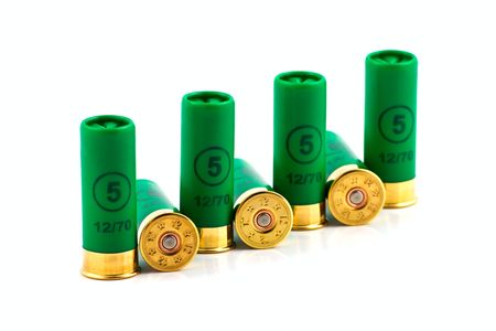 Hunting cartridges for shotgun 12 caliber