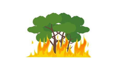 Forest fire natural disaster concept vector illustrationのイラスト素材