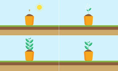 Plant growing stages. Timeline infographic of planting tree processのイラスト素材