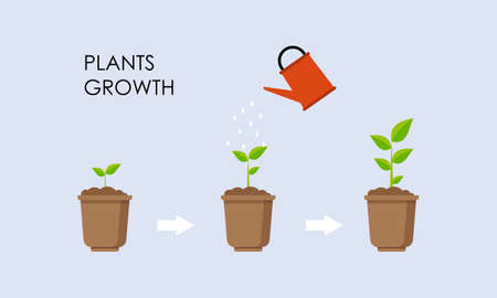 Plant growing stages. Timeline infographic of planting tree processのイラスト素材