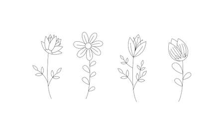 Hand drawn flower collection vectorのイラスト素材