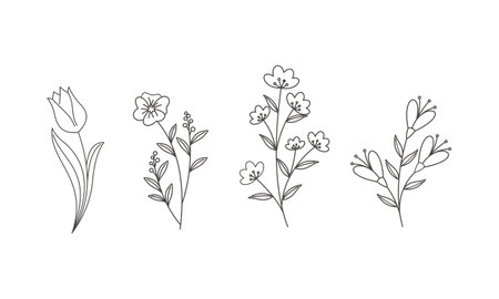 Hand drawn flower collection vectorのイラスト素材