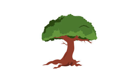 Deciduous green tree with exposed roots isolated vector illustrationのイラスト素材