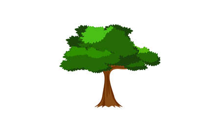 Deciduous green tree with exposed roots isolated vector illustrationのイラスト素材
