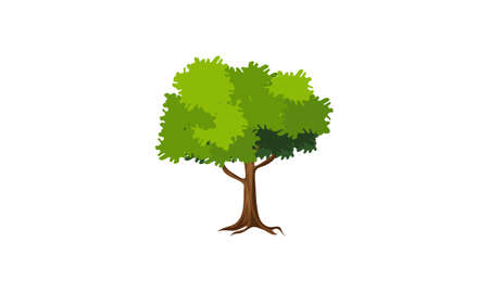 Deciduous green tree with exposed roots isolated vector illustrationのイラスト素材