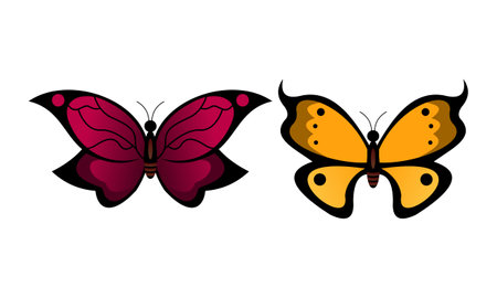 Beautiful color butterfly  vector art illustrationのイラスト素材