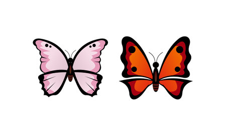 Beautiful color butterfly vector art illustrationのイラスト素材