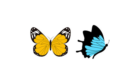 Beautiful color butterfly vector art illustrationのイラスト素材