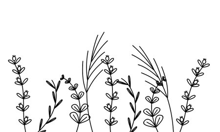 Black silhouettes of grass, flowers and herbs isolated on white backgroundのイラスト素材
