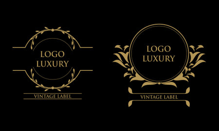 Vintage decorations elements and frames gold colorのイラスト素材