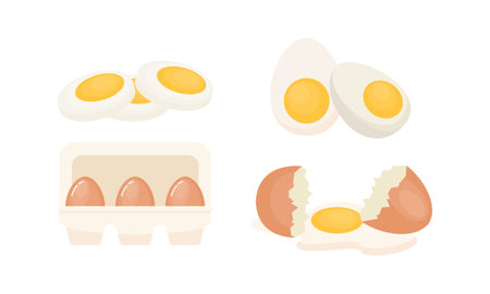 Egg sets in various forms raw, boiled and fried. Organic agricultural products. Ingredients for breaのイラスト素材