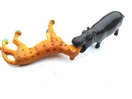 some plastic animal  isolated on white background
