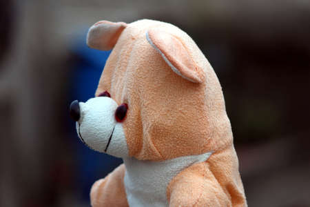 a colorful teddy bear lay down on a stone background