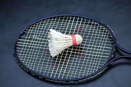 a shuttle on a racketの写真素材