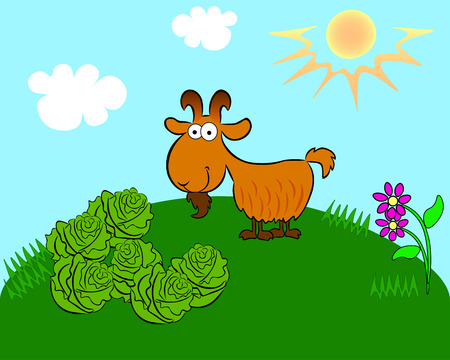 Against the blue sky with the sun and clouds there is a hill on which the goat stands near the cabbage.のイラスト素材