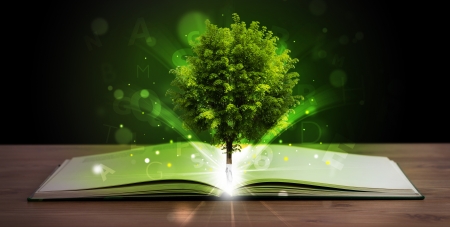 Open book with magical green tree and rays of light on wooden deckの写真素材