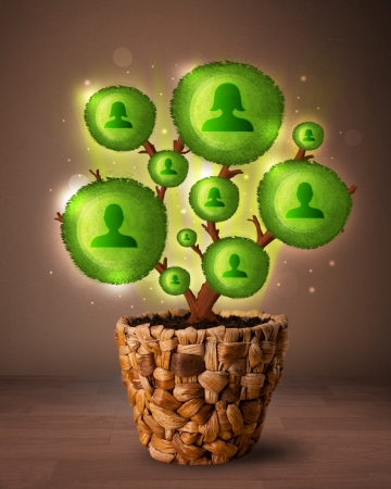 Shining social network tree coming out of flowerpotの写真素材