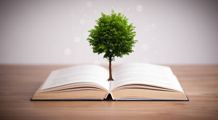 Tree growing from an open book, alternative recycling conceptの写真素材