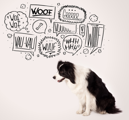 Cute black and white border collie with barking speech bubbles above her headの写真素材