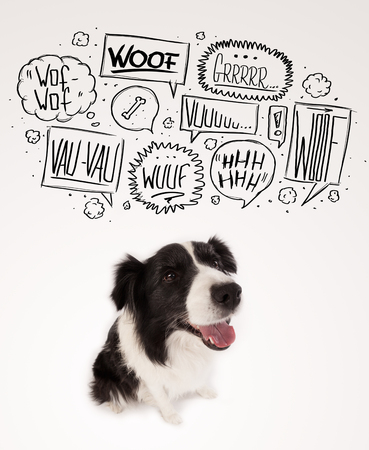 Cute black and white border collie with barking speech bubbles above her headの写真素材