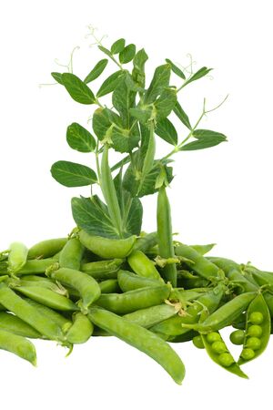 Fresh green pea in the pod isolated on white background. の写真素材