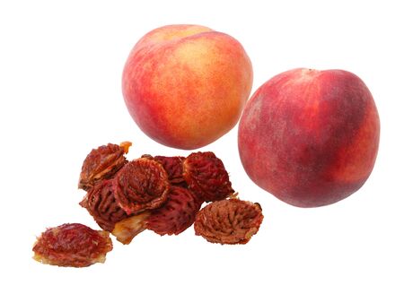 Two peach and seeds isolated on a white backgroundの写真素材