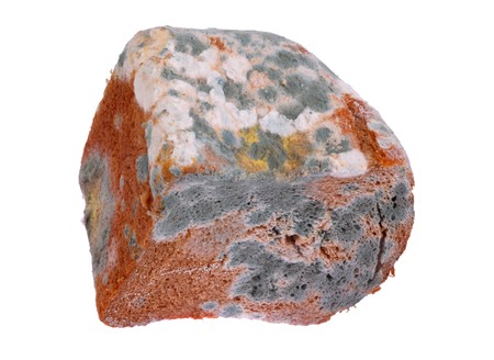 Moldy bread. Isolated on white backgroundの写真素材