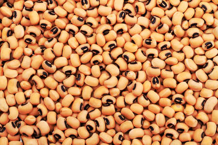 Kidney beans background. A series of food backgroundsの写真素材