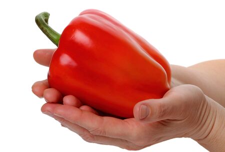 Big red pepper in human hands isolated on white backgroundの写真素材