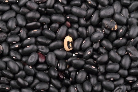 Black kidney beans background. A series of food backgroundsの写真素材