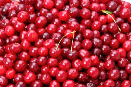 Fresh red Cherry. Natural background