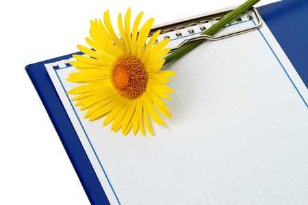 Notebook and a yellow daisy. Copy spaceの写真素材