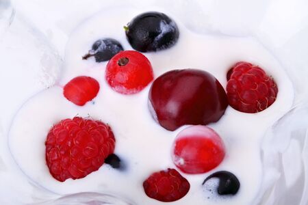 Fresh fruit in ice cream on a white の写真素材
