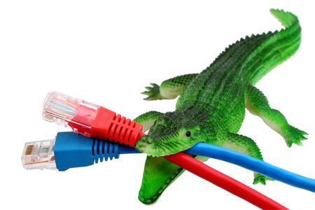 Computer virus (green crocodile) bites network cable. Isolated on a white background. 