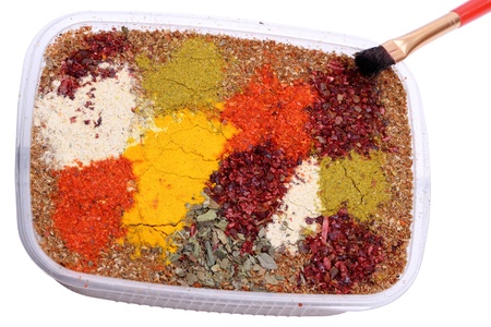 Color palette of different spices and brushの写真素材