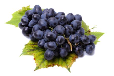 Blue grapes isolated on white backgroundの写真素材