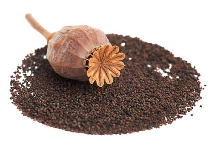 Ripe poppy seeds isolated on white backgroundの写真素材