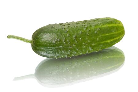 Ripe cucumber with reflection isolated on a white backgroundの写真素材