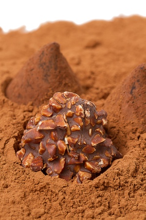 Chocolate Truffles with nuts and cocoa powder on a white backgroundの写真素材
