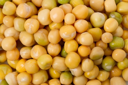 Background pea seeds ready for plantingの写真素材