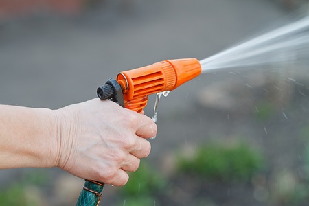 Female Hand watering garden with a hose gunの写真素材