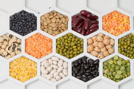 Various dry bean products in cellular cellsの写真素材