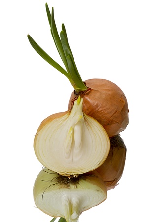 Yellow Onions isolated on white backgroundの写真素材